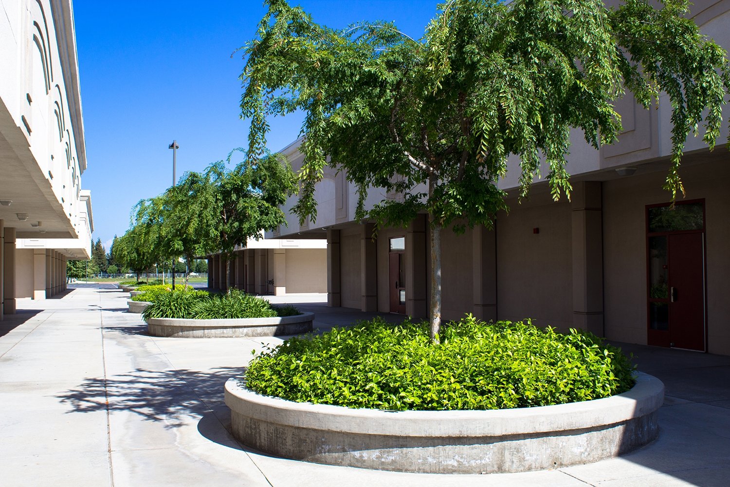 Daniel Savage Middle School 11